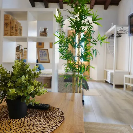 Lägenhet Astaregia Jerez de la Frontera