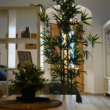 Apartamento Astaregia *