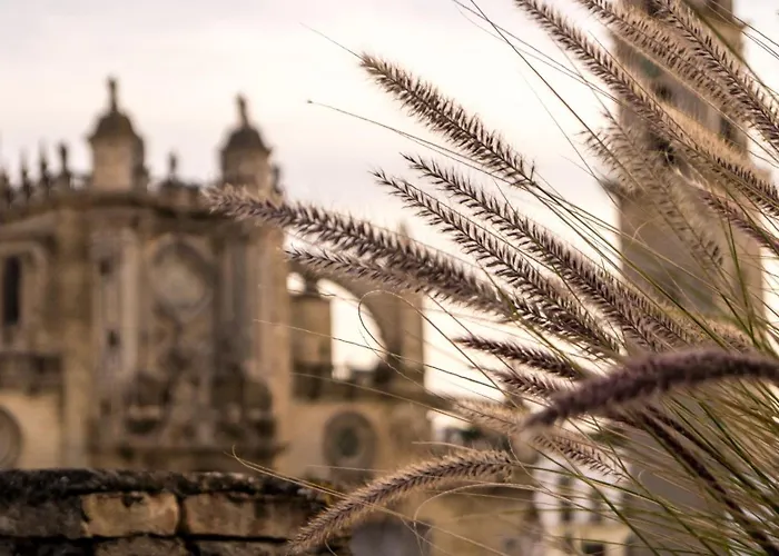 Astaregia Apartman Jerez de la Frontera